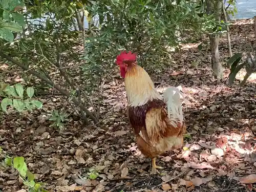熱田神宮(愛知県)