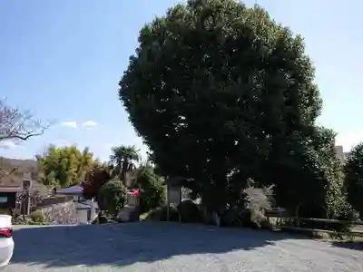 徳雲寺(神奈川県)