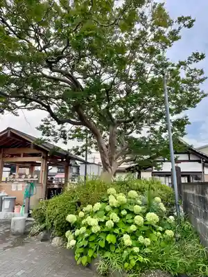 瑞泉寺(山梨県)