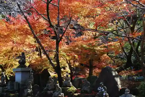 大寧寺(山口県)