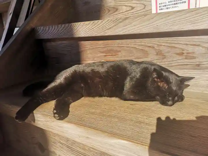 高司神社〜むすびの神の鎮まる社〜(福島県)