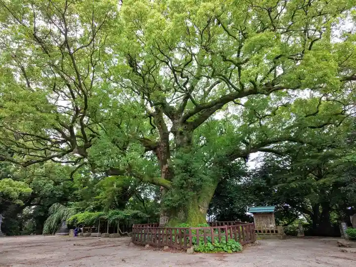 高良大社の庭園
