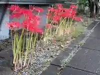 伊勢の国 四天王寺の自然