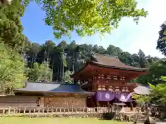 丹生都比売神社(和歌山県)