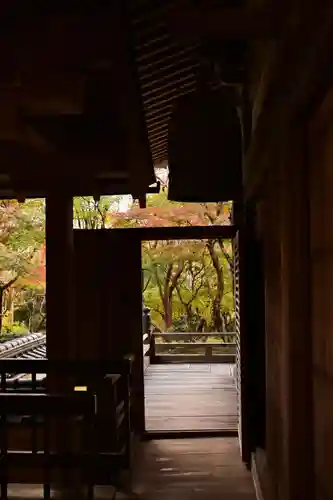 勝持寺（花の寺）(京都府)