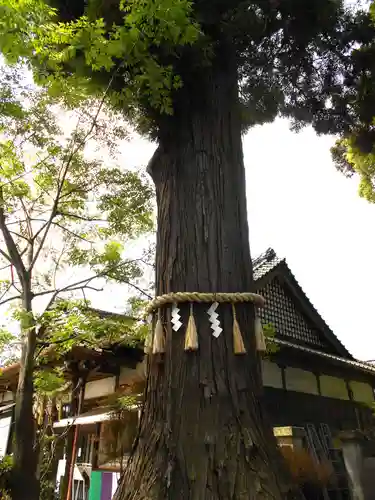 國魂神社の庭園