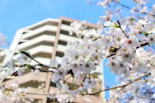 くまくま神社(導きの社 熊野町熊野神社)の自然