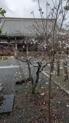 本法寺(京都府)