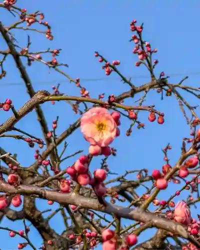 伊勢の国 四天王寺(三重県)