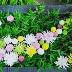 東海市熊野神社(愛知県)