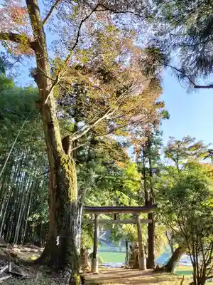 質美八幡宮(京都府)