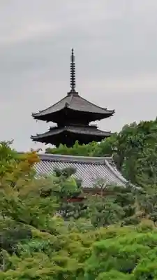 仁和寺の塔