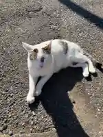 金刀比羅宮(千葉県)