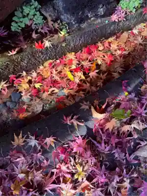 鎌倉宮(神奈川県)