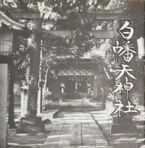 白幡天神社(千葉県)