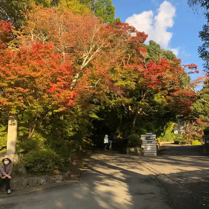 曼殊院門跡の自然