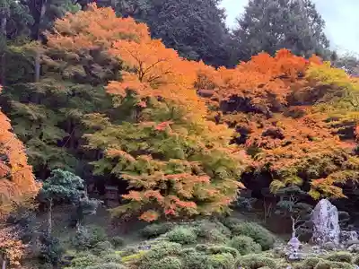 萬徳寺(福井県)