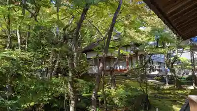 常寂光寺(京都府)