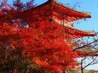 新倉富士浅間神社の塔