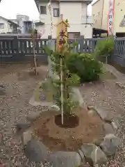 雷神社(東京都)