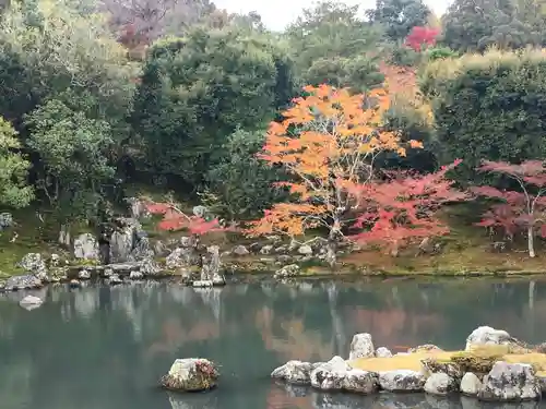 天龍寺の庭園