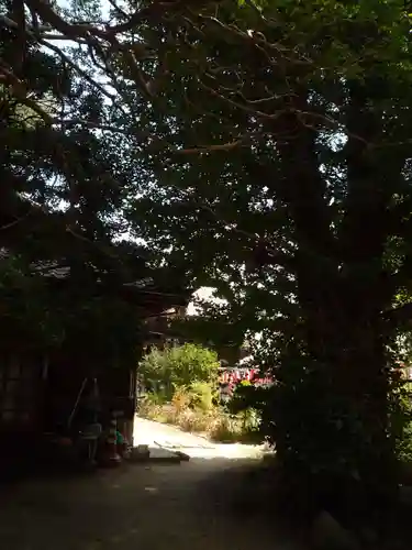 観音院(埼玉県)