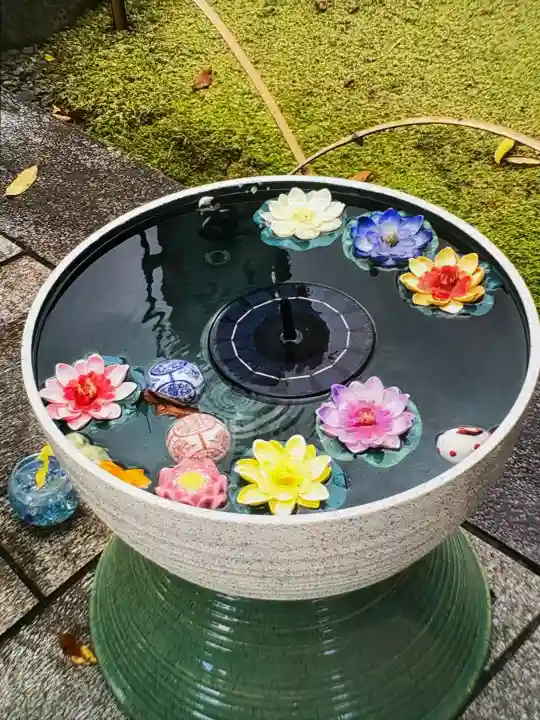 身照寺の{uncategorized: "未分類", other: "その他", undefined: "問題あり", building: "その他建物", grave: "お墓", sacred_gate: "鳥居", guardian: "狛犬", statue: "像", buddha: "仏像", history: "歴史", nature: "自然", garden: "庭園", animal: "動物", pagoda: "塔", temizu: "手水舎", mountain_gate: "山門・神門", sanctuary: "本殿・本堂", subordinate: "末社・摂社", art: "芸術", scenery: "景色", jizo: "地蔵", ema: "絵馬", goshuin: "御朱印", omikuji: "おみくじ", items: "授与品その他", amulet: "お守り", goshuincho: "御朱印帳", eats: "食事", festival: "お祭り", votive_dance: "神楽", shichigosan: "七五三参", wedding: "結婚式", experience: "体験その他", initially: "初詣", around: "周辺", anti_infection: "感染症対策"}