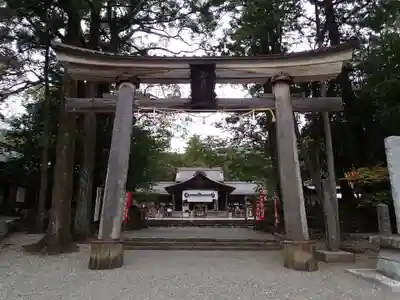 土佐神社の鳥居