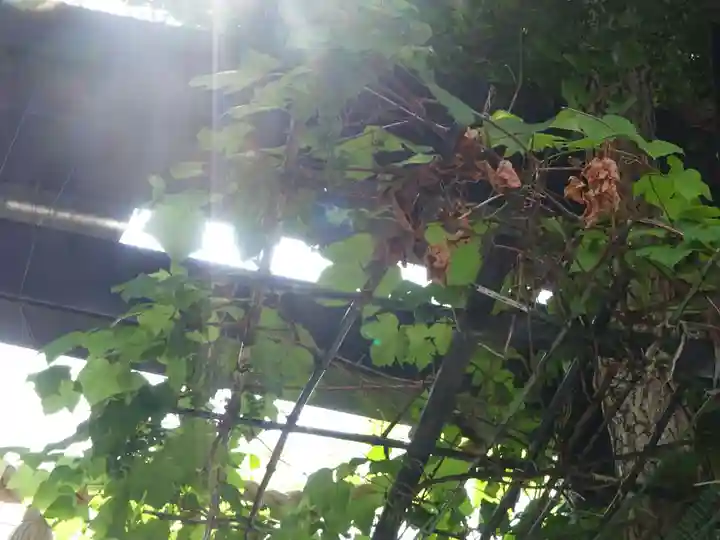 菊名神社のその他建物