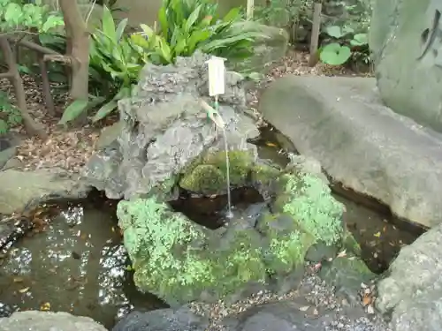 千葉神社の建物その他