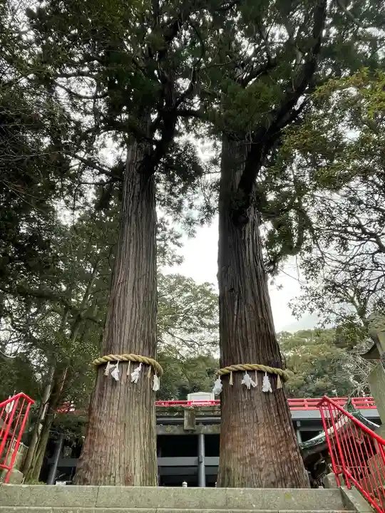 八幡朝見神社の自然