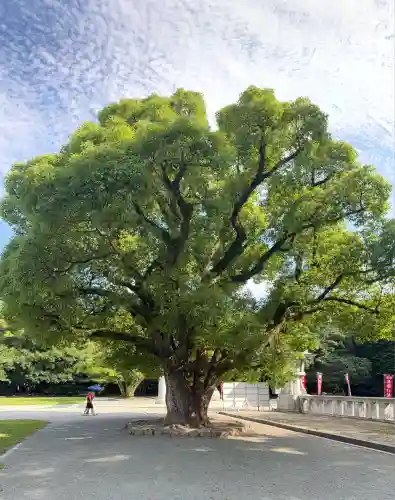 福岡縣護國神社(福岡県)
