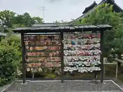 隨心院（随心院）(京都府)