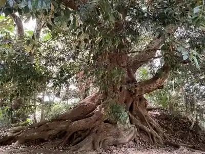 諏訪神社(千葉県)