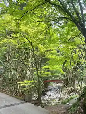 花園神社(茨城県)