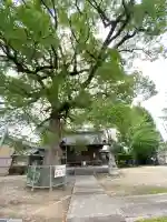 神明宮(諸神神社)(愛知県)