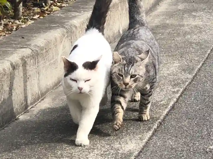 王子神社(徳島県)