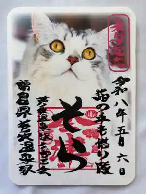 5月の限定御朱印✨