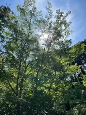 高麗神社の自然