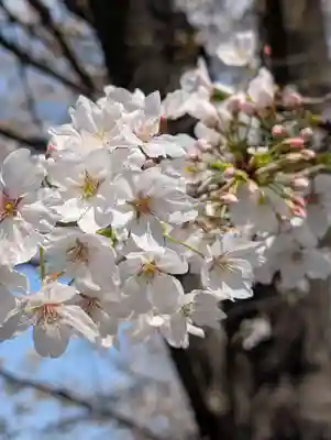 潮田神社(神奈川県)
