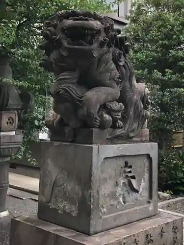 穏田神社の狛犬