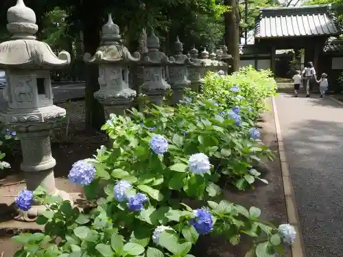 妙法寺の庭園