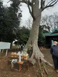 伏木香取神社(茨城県)(2023年12月15日(金) 17時47分06秒投稿)