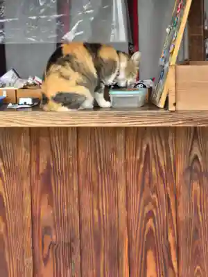 前玉神社(埼玉県)