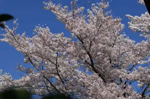 大鏑神社の自然