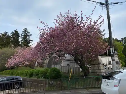成田山新勝寺の自然