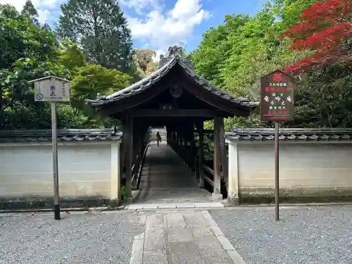 龍吟庵（竜吟庵）の{uncategorized: "未分類", other: "その他", undefined: "問題あり", building: "その他建物", grave: "お墓", sacred_gate: "鳥居", guardian: "狛犬", statue: "像", buddha: "仏像", history: "歴史", nature: "自然", garden: "庭園", animal: "動物", pagoda: "塔", temizu: "手水舎", mountain_gate: "山門・神門", sanctuary: "本殿・本堂", subordinate: "末社・摂社", art: "芸術", scenery: "景色", jizo: "地蔵", ema: "絵馬", goshuin: "御朱印", omikuji: "おみくじ", items: "授与品その他", amulet: "お守り", goshuincho: "御朱印帳", eats: "食事", festival: "お祭り", votive_dance: "神楽", shichigosan: "七五三参", wedding: "結婚式", experience: "体験その他", initially: "初詣", around: "周辺", anti_infection: "感染症対策"}