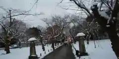 平野神社の建物その他