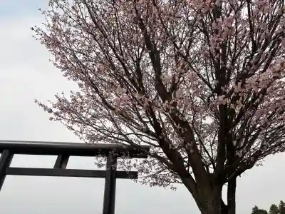 古四王神社の{uncategorized: "未分類", other: "その他", undefined: "問題あり", building: "その他建物", grave: "お墓", sacred_gate: "鳥居", guardian: "狛犬", statue: "像", buddha: "仏像", history: "歴史", nature: "自然", garden: "庭園", animal: "動物", pagoda: "塔", temizu: "手水舎", mountain_gate: "山門・神門", sanctuary: "本殿・本堂", subordinate: "末社・摂社", art: "芸術", scenery: "景色", jizo: "地蔵", ema: "絵馬", goshuin: "御朱印", omikuji: "おみくじ", items: "授与品その他", amulet: "お守り", goshuincho: "御朱印帳", eats: "食事", festival: "お祭り", votive_dance: "神楽", shichigosan: "七五三参", wedding: "結婚式", experience: "体験その他", initially: "初詣", around: "周辺", anti_infection: "感染症対策"}