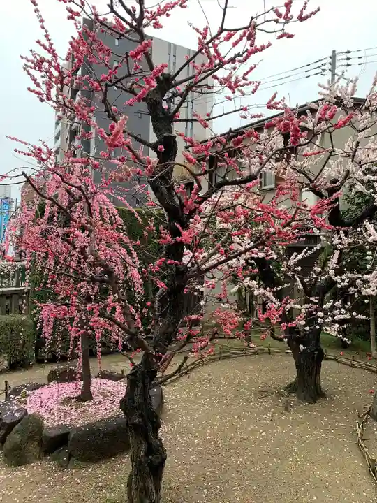 大阪天満宮(大阪府)